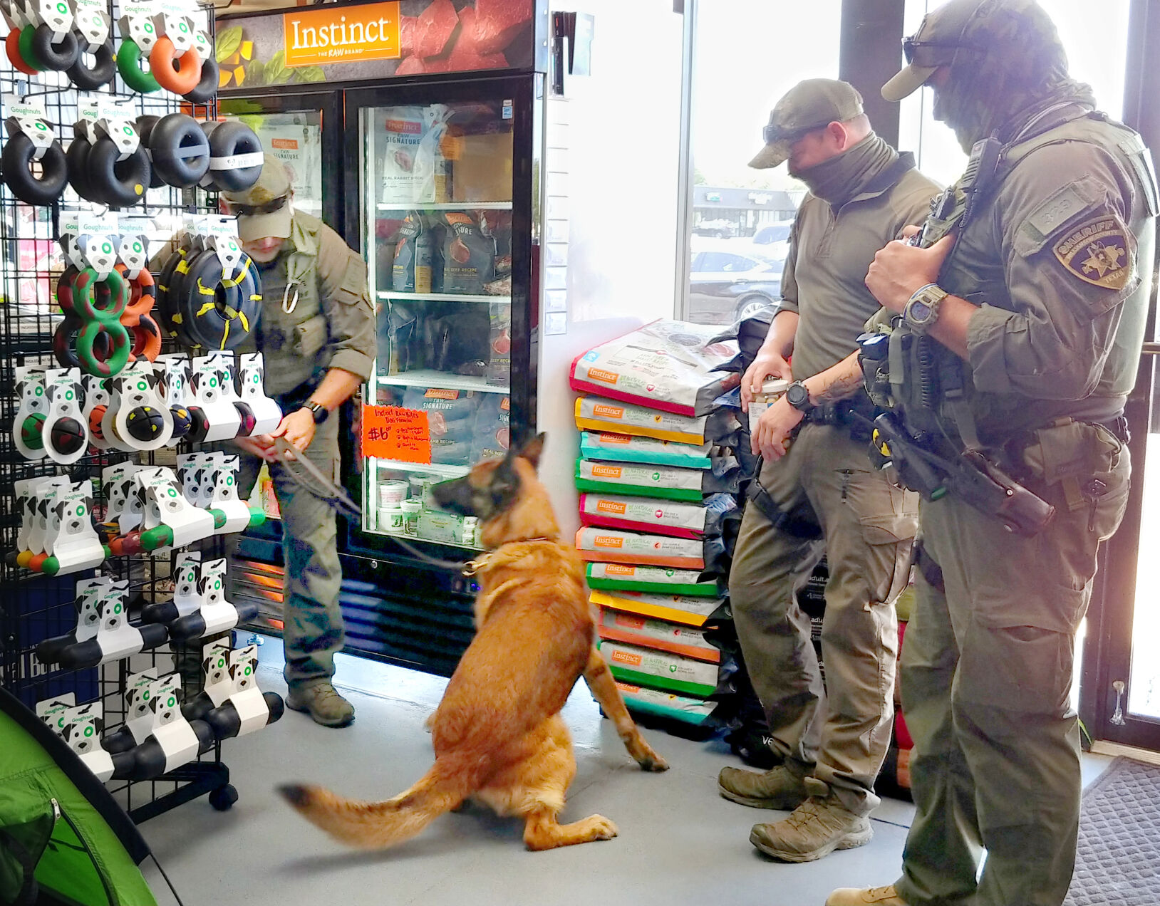 Williamson County Sheriff K9 Training at Wag Heaven Search in Progress.jpg